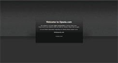 Desktop Screenshot of opsola.com